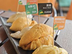 -榴莲BB 四季果园