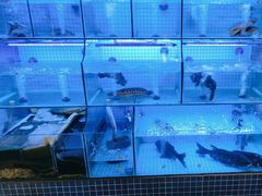 -有藕有鱼·湖北菜(唐家墩店)
