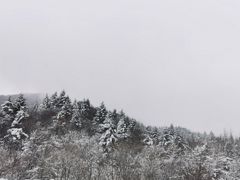 -秦岭风景区