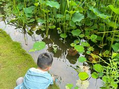 -沐仙湖湿地公园