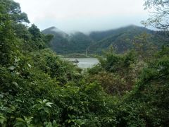 -羚羊峡古栈道森林公园