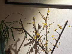 -菩提书坊(侨福大厦店)