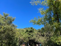 -香山公园