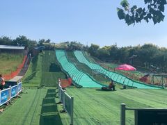 -北京鹿世界主题园