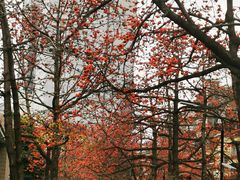 -烈士陵园(地铁站)