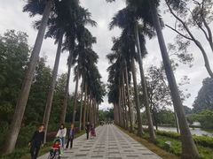 -星湖旅游景区七星岩