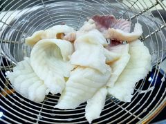 -源港渔村-中山脆肉鲩(博罗店)
