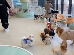 -怪兽屋·羊驼·猫咖·狗咖(俊华广场店)