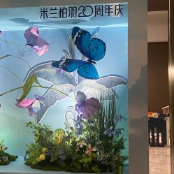 -深圳米兰柏羽医疗美容医院