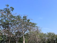 -立新湖公园