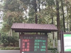 -合肥滨湖国家森林公园