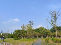 -水西公园