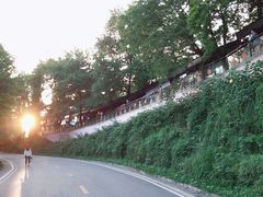 -茶颜悦色(岳麓山顶店)