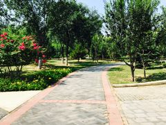 -永定河休闲森林公园