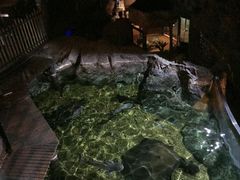-暹罗海洋世界