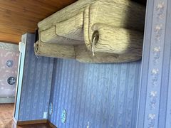 -金山农民画村-枫泾波兰倒置屋