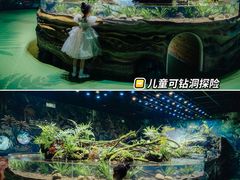 -海合安成都极地海洋公园
