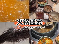 -蘑界·野生菌火锅(深业上城店)