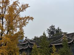 -四川大学(华西校区)