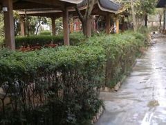 android_upload_pic-地主大院