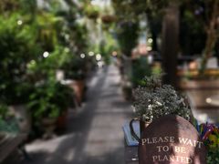 -The Grounds of Alexandria