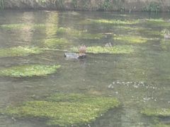 -水磨沟公园