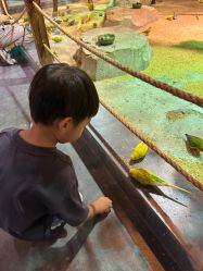 -酷嗒动物文化乐园(cutezoo西溪乐天城店)