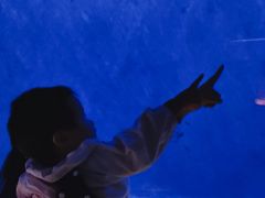 -沈阳海洋探索中心