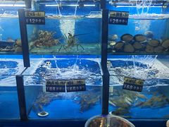 -老东镇啤酒屋海鲜加工·蒸汽海鲜·海鲜烧烤(台东店)