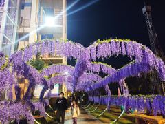 -花博汇(知音花月夜)