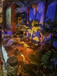 -恐龙探索乐园(磁器口店)