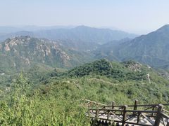 -大岭沟猕猴桃谷风景区