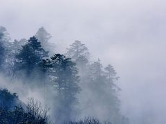 -樊三嬢手工甜水面(大邑安仁店)