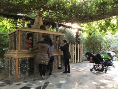 -呀路古热带植物园