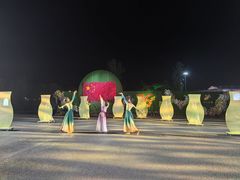 -荷兰花海