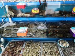 -港畔赶海蒸汽海鲜烧烤自助(仙螺岛店)