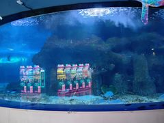 -沙沙哗啦海洋馆(华宇百花谷店)