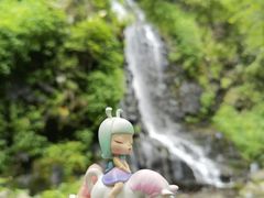 -望天鹅景区