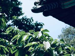 -潭柘寺景区
