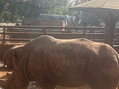 -昆明动物园