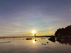 -宝安西湾红树林湿地公园