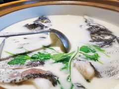 千岛湖鱼头-千岛湖小鱼儿·淳安匠心农家菜