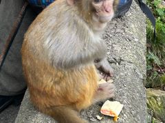 -黔灵山公园
