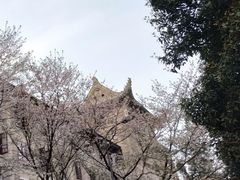 -武汉大学-樱园