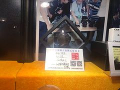 -志强陨石馆(双季花艺店)