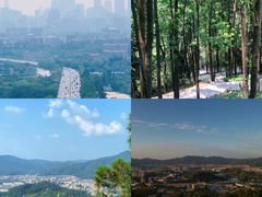 -火炉山森林公园