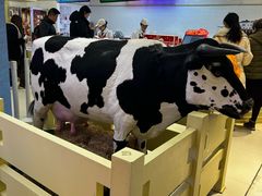 -红星前进面包牛奶公司(君太店)