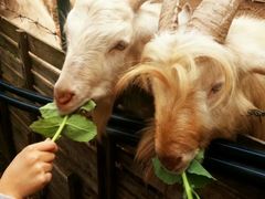 -杭州师范大学(下沙校区)