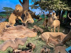 -国家自然博物馆