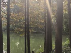 -天目湖涵田半山温泉